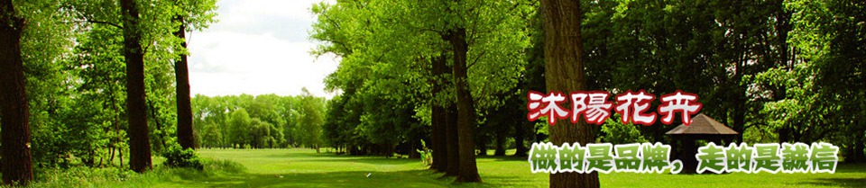 沭陽銘靜花卉園藝場